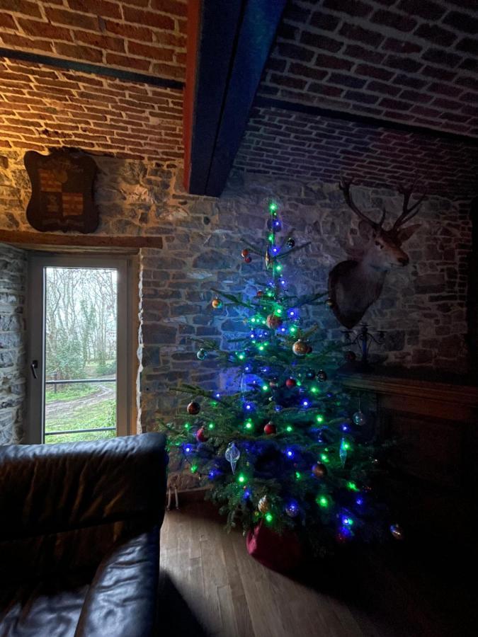 Les Confidences De Messire Sanglier, Stylished Guest Houses Beauraing Buitenkant foto